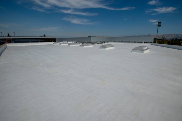 Best Hot Roofs  in Bronson, MI