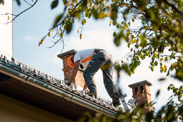 Best Commercial Roofing Services  in Bronson, MI