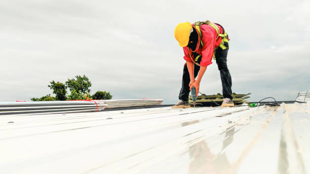 Best Roof Maintenance and Cleaning  in Bronson, MI
