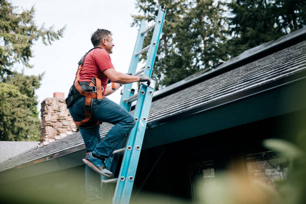 Professional Roofing in Bronson, MI