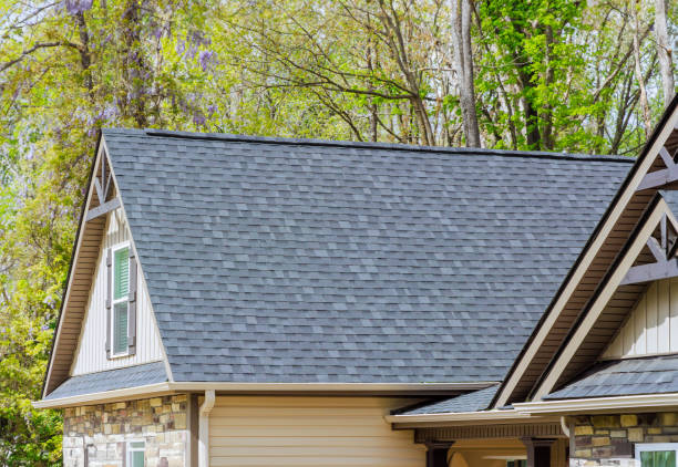 Best Chimney Flashing Repair  in Bronson, MI