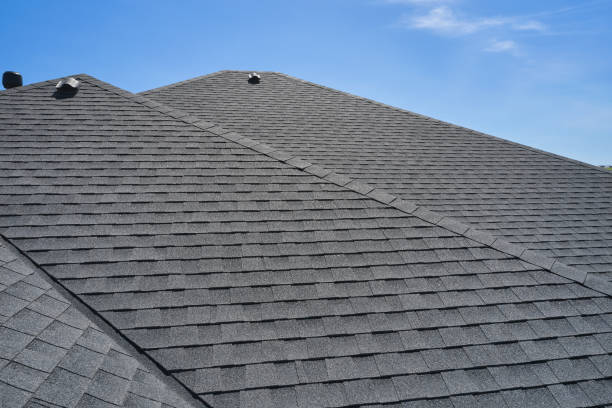 Best Solar Panel Roofing Installation  in Bronson, MI